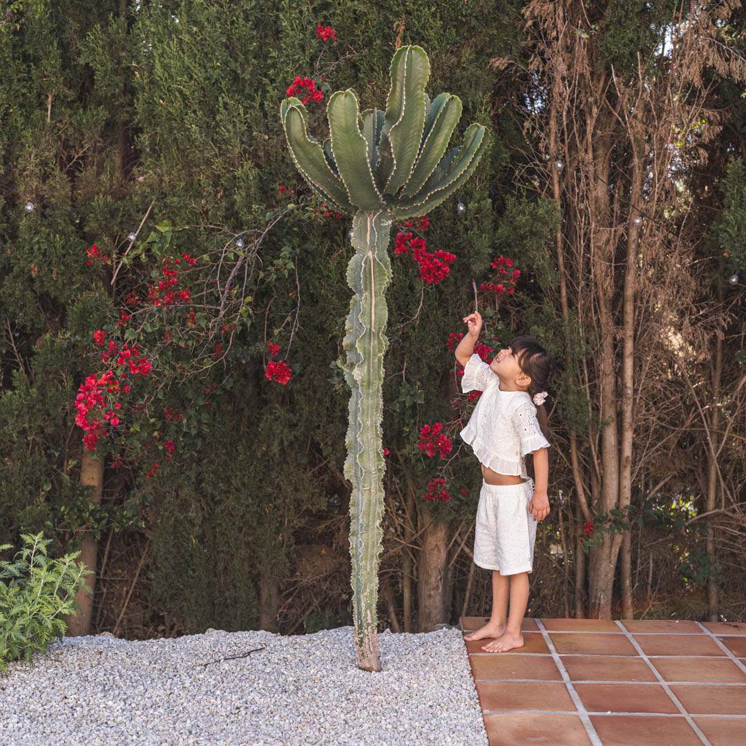 Kemishe per femije IBI