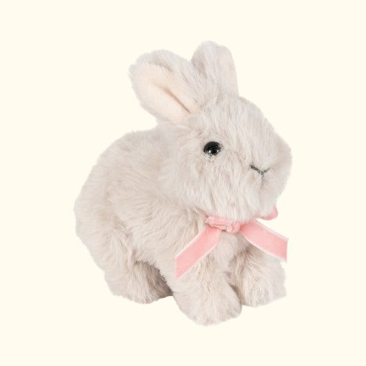 Lepurush i bardhë pellushi